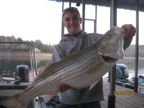 Nice Striped Bass